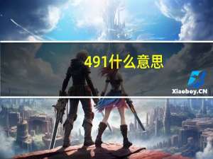 491什么意思