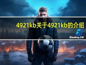 4921kb 关于4921kb的介绍