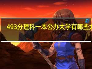 493分理科一本公办大学有哪些大学