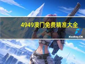 4949澳门免费精准大全：广泛的精确AI分析-2145.V1.128