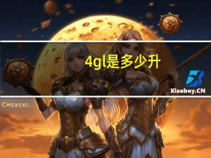 4gl是多少升