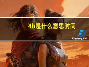 4h是什么意思时间