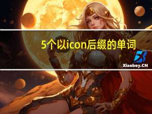5个以icon后缀的单词