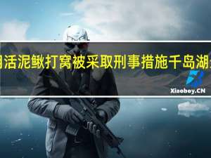 5人用活泥鳅打窝被采取刑事措施 千岛湖生态遭重创