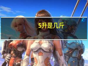 5升是几斤