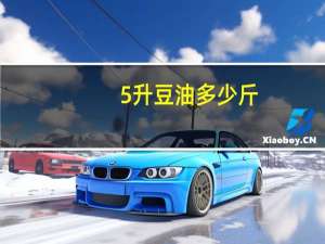 5升豆油多少斤