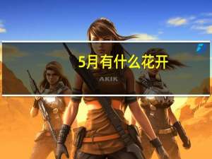 5月有什么花开