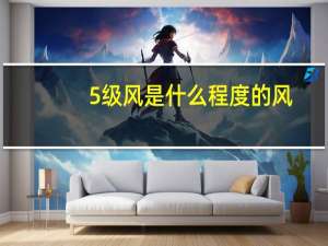 5级风是什么程度的风（5级风是什么概念）