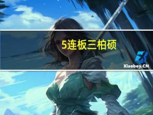 5连板三柏硕：公司股价短期涨幅远高于同行业公司的同期涨幅但公司基本面未发生重大变化