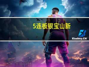 5连板银宝山新：控股股东转让公司股权事项无应披露的进展情况 亦不存在处于筹划阶段的重大事项