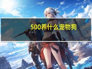 500养什么宠物狗