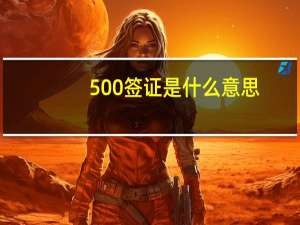 500签证是什么意思