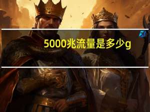 5000兆流量是多少g