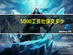 5000工资社保交多少