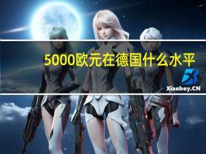 5000欧元在德国什么水平