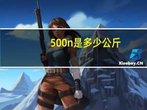 500n是多少公斤