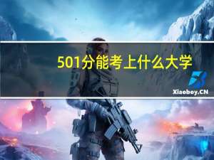 501分能考上什么大学