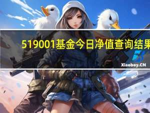 519001基金今日净值查询结果（519001基金今日净值）