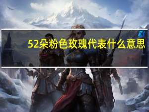 52朵粉色玫瑰代表什么意思