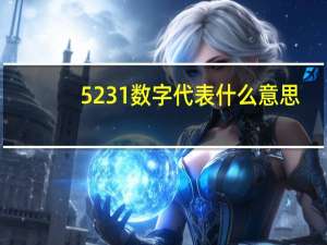 5231数字代表什么意思