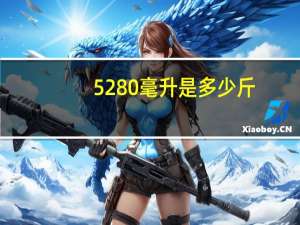 5280毫升是多少斤