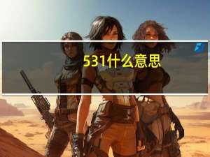 531什么意思