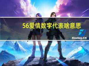 56爱情数字代表啥意思