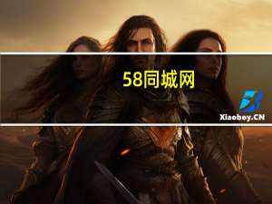 58同城网（5英寸）