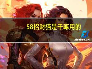 58招财猫是干嘛用的（58招财猫网页登录）
