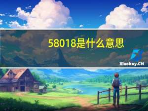 58018是什么意思