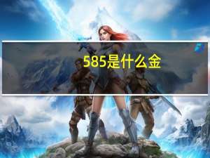 585是什么金