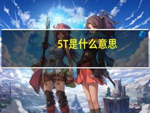 5T是什么意思