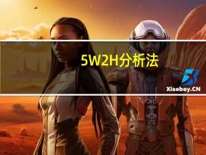 5W2H分析法