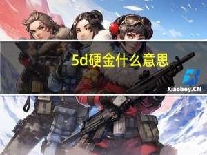 5d硬金什么意思