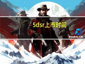 5dsr上市时间（5ds）