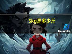 5kg是多少斤