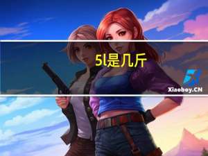 5l是几斤