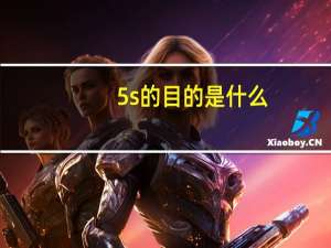 5s的目的是什么