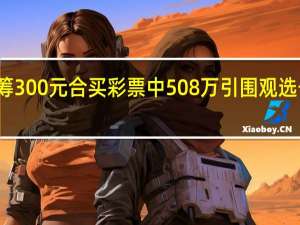 6人众筹300元合买彩票中508万引围观 选号仅花3分钟：网友直呼运气好