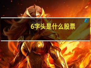 6字头是什么股票