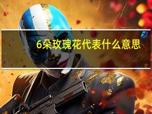 6朵玫瑰花代表什么意思