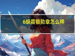 6级霜狼勋章怎么样（6级霜狼）