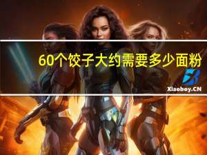 60个饺子大约需要多少面粉