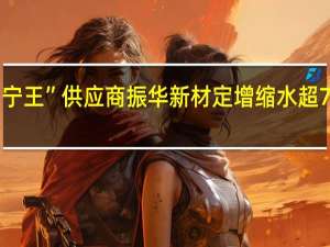 60亿降至14亿 “宁王”供应商振华新材定增缩水超75%！新库存周期将开启？ 到底什么情况嘞