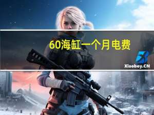 60海缸一个月电费