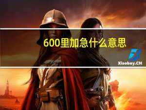 600里加急什么意思