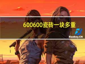 600600瓷砖一块多重
