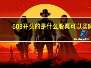 603开头的是什么股票可以买吗（603开头的是什么股票）