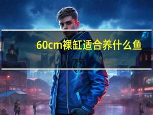 60cm裸缸适合养什么鱼