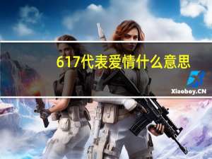 617代表爱情什么意思